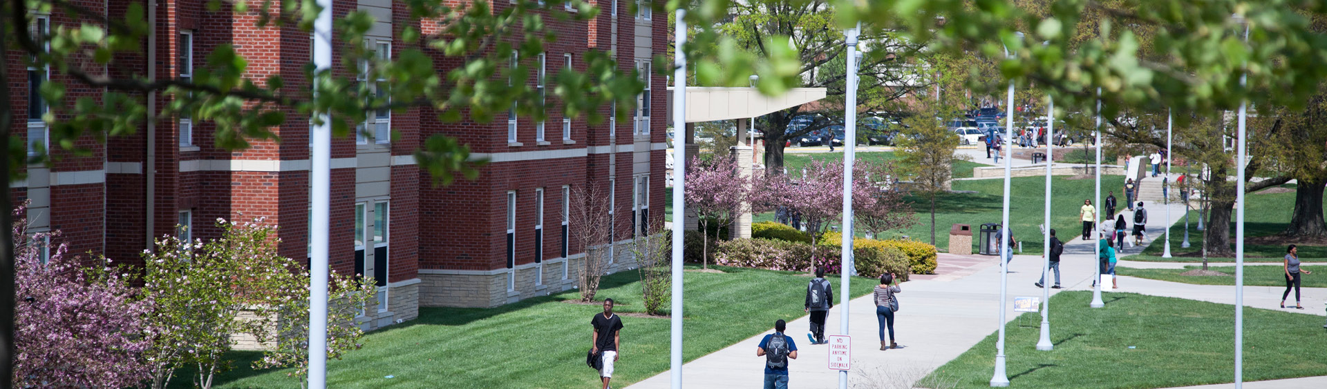 transfer-requirements-north-carolina-a-t-state-university