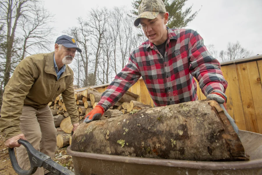 Two men working outdoors near a pile of logs, with one man in a red plaid shirt and camouflage hat lifting a large log into a wheelbarrow, while the other man, wearing a brown jacket and a blue cap, helps steady the wheelbarrow.