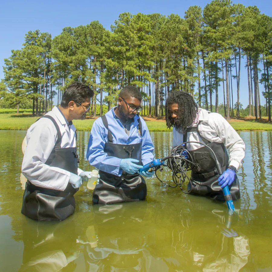 Three men standing knee-deep in water while conducting agricultural research.