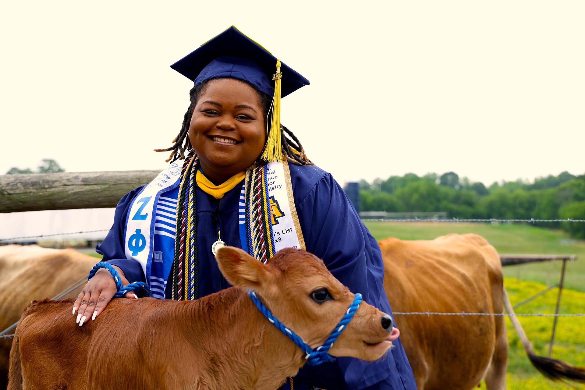 Kayla Alston '23 posing with a calf on the University Farm