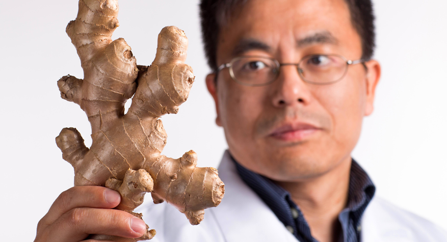 Dr. Senming Sang holds some ginger for research